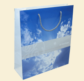 exclusiv koBag