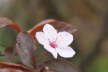 IMG_3833 Kopie 2